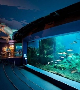İstanbul Aquarium
