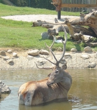 Bursa Zoo